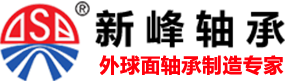 山东新峰轴承科技有限公司